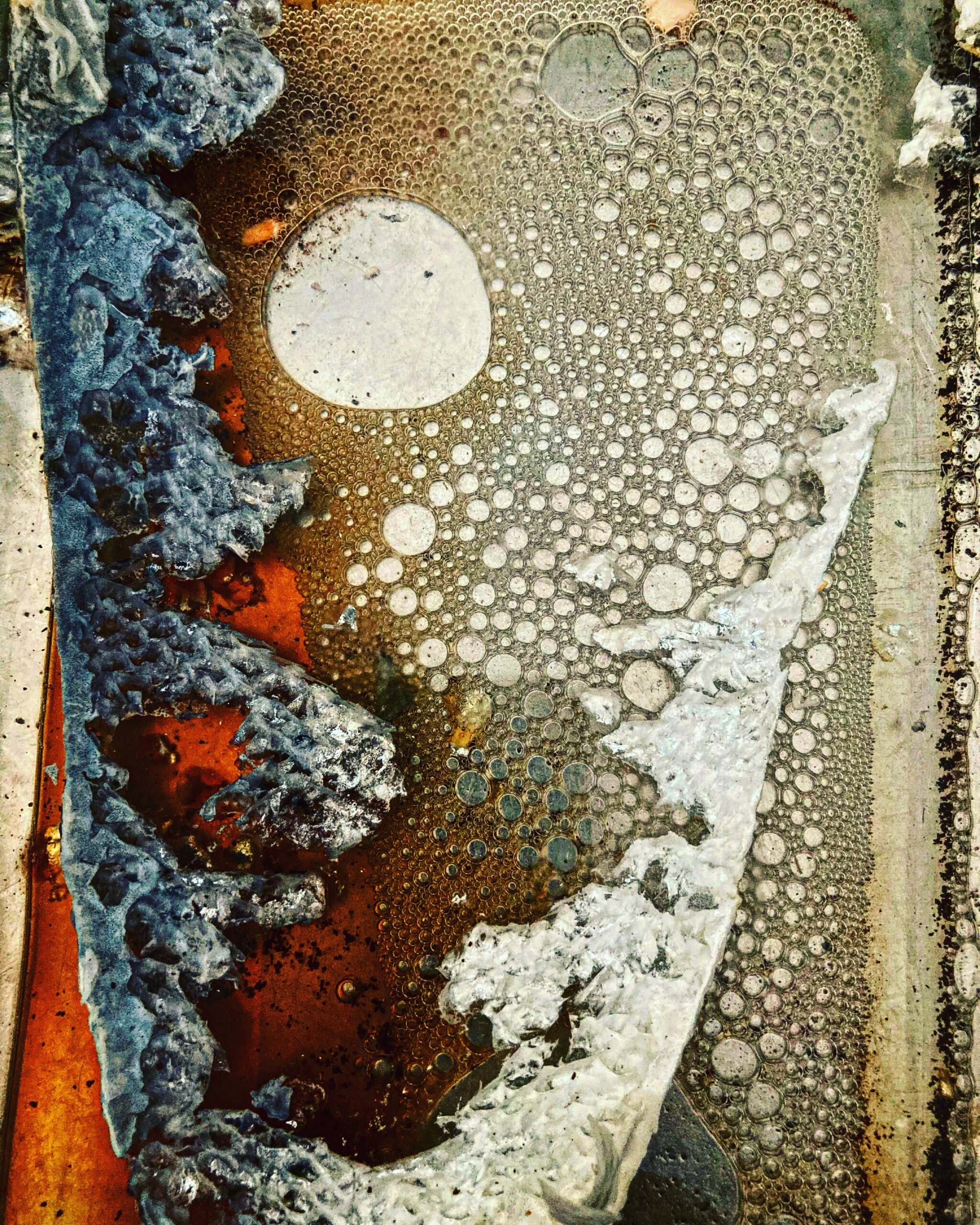 Fisk i fad – et billede i Poesiens Natur